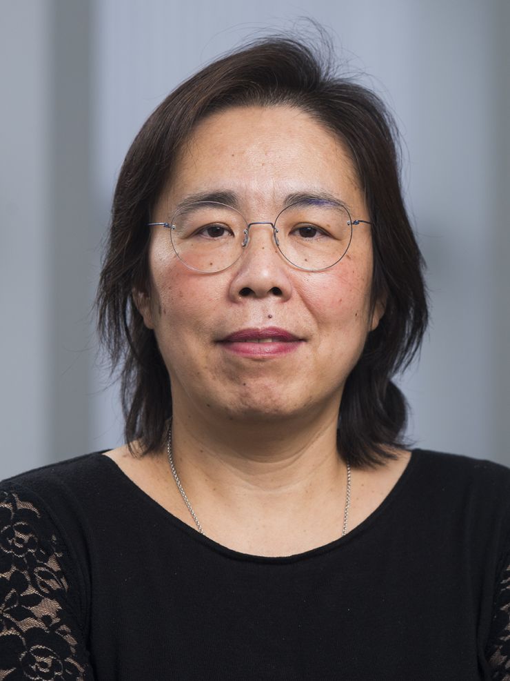 Jin Wang.jpg